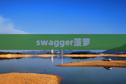 swagger菠萝